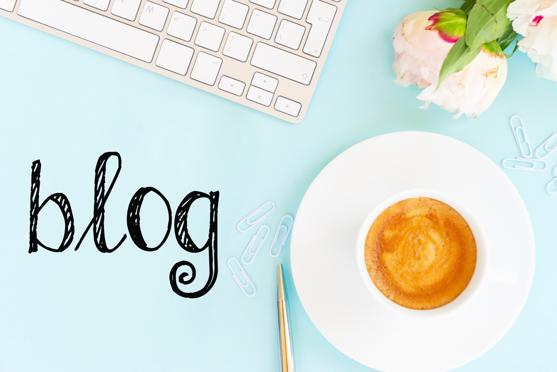 Blog pour professionnel